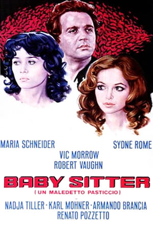 Image Babysitter - Un maledetto pasticcio