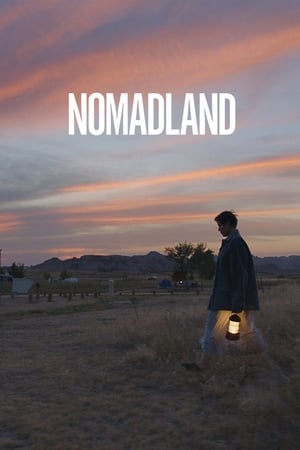 Poster van Nomadland
