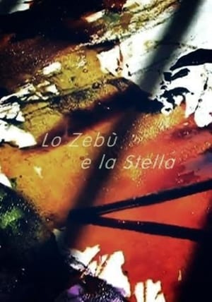 Lo zebù e la stella (2007)