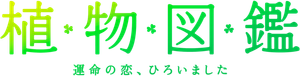 Evergreen Love — Logos 1