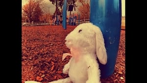 bunny.mp4 film complet