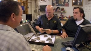 Pawn Stars Sharks and Cobras