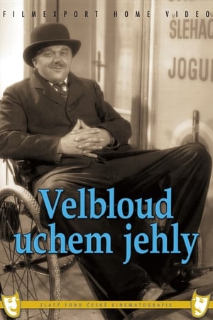 Velbloud uchem jehly 1937