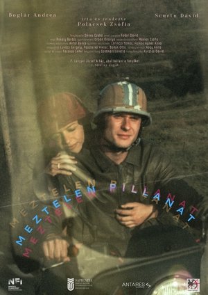 Our Tender Moment (2025)