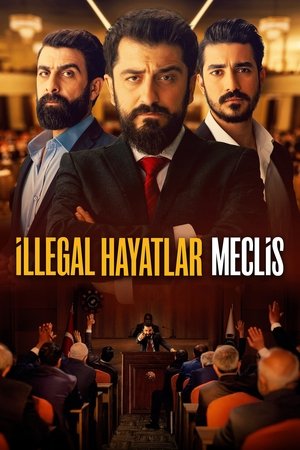 Image İllegal Hayatlar: Meclis