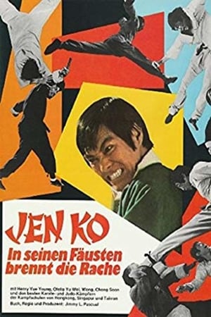 Image Jen Ko - In seinen Fäusten brennt die Rache