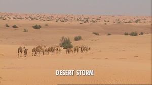 Image Desert Storm