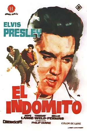 Poster El indómito 1961