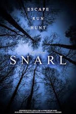 Snarl 2019