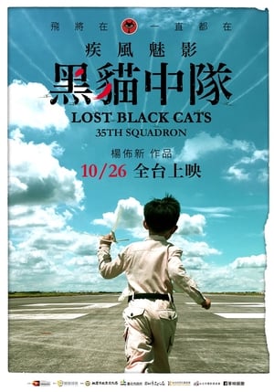 Poster Lost Black Cats 35TH Squadron (2018)
