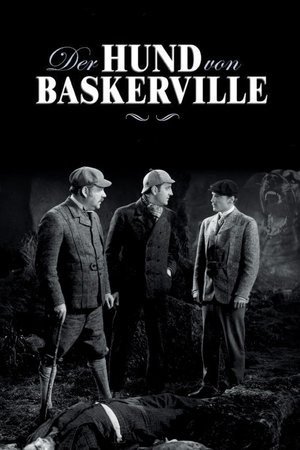 Image Der Hund von Baskerville