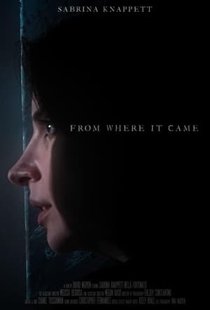 Poster From Where It Came 2021