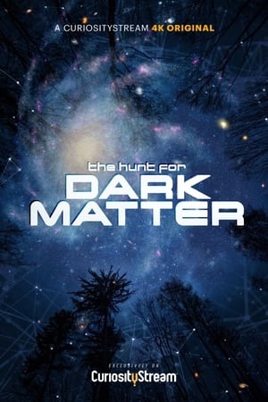 The Hunt for Dark Matter - 2017
