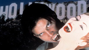 Modern Vampires 2