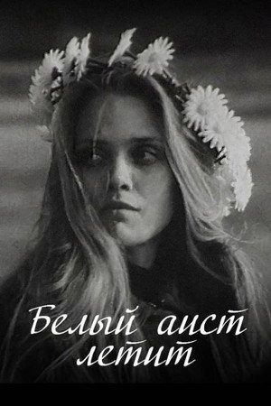 Белы бусел ляціць