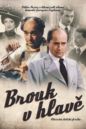 Poster Brouk v hlavě (2003)