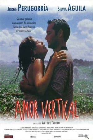 Poster Amor vertical 1997