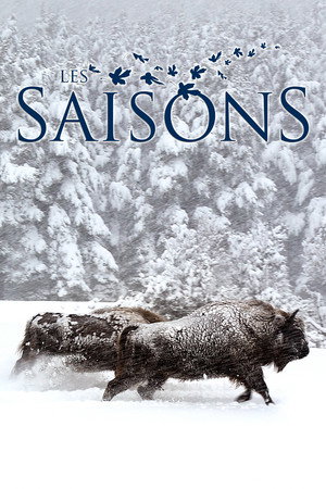 Seasons 8