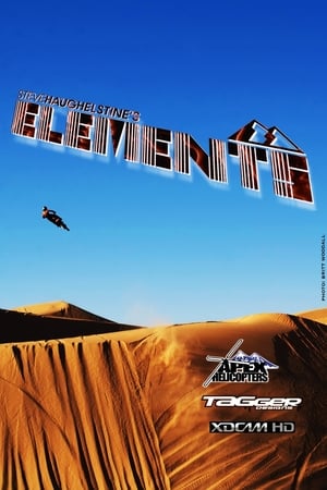 Poster Elements (2011)