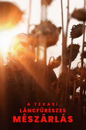 poster Texas Chainsaw Massacre