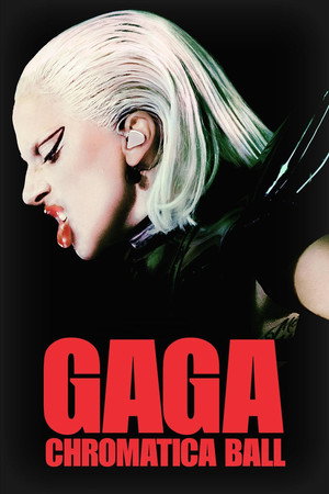 Lady Gaga：神彩巡回演唱会