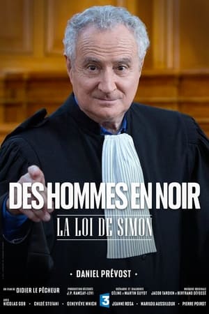 Image La Loi de Simon - Des hommes en noir