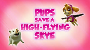 Image Pups Save a High-Flying Skye