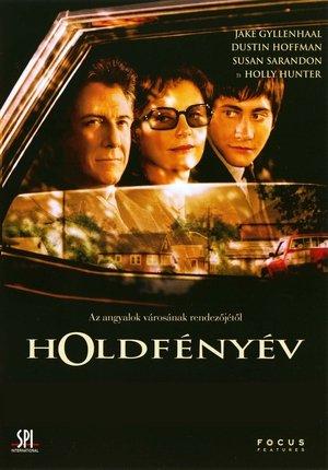 Holdfényév 2002