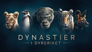 poster Dynasties