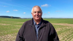 Midnight Diggers and Livestock Thieves | StreamHub