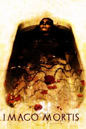Poster A halál képe 2009