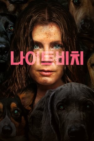Image 나이트비치
