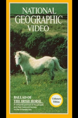 Poster Ballad of the Irish Horse 1985