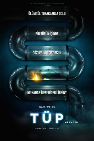 Poster Tüp 2021