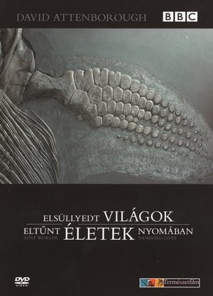 Image Elsüllyedt világok, eltűnt életek nyomában