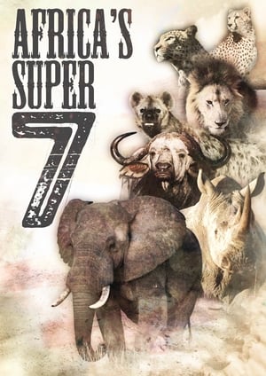Image Africa's Super Seven