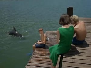 Flipper Lady and the Dolphin (1)