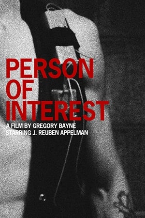 Person of Interest cover
