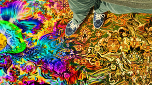 Have a Good Trip: Adventures in Psychedelics Online fili