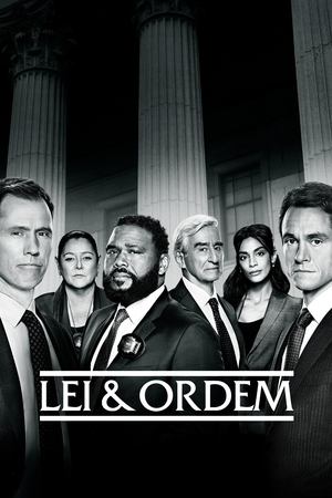 Poster Lei & Ordem Temporada 5 1994