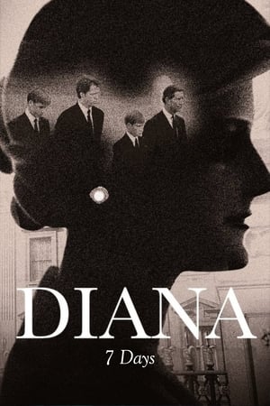 Poster Diana - sønnernes historie 2017