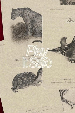 Play It Safe 3