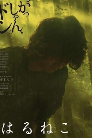 Poster Haruneko (2016)