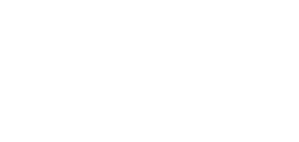 The Mighty Ducks — Logos 6