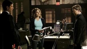 CSI: NY: Stagione 4 x Episodio 16