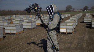 Secrets of the Bees: 1×1