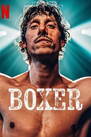 Poster Boxer ()