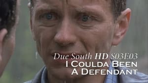 Due South I Coulda Been a Defendant