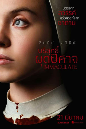 Poster บริสุทธิ์ผุดปีศาจ 2024