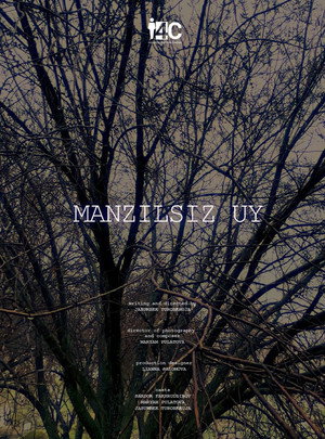 Manzilsiz uy